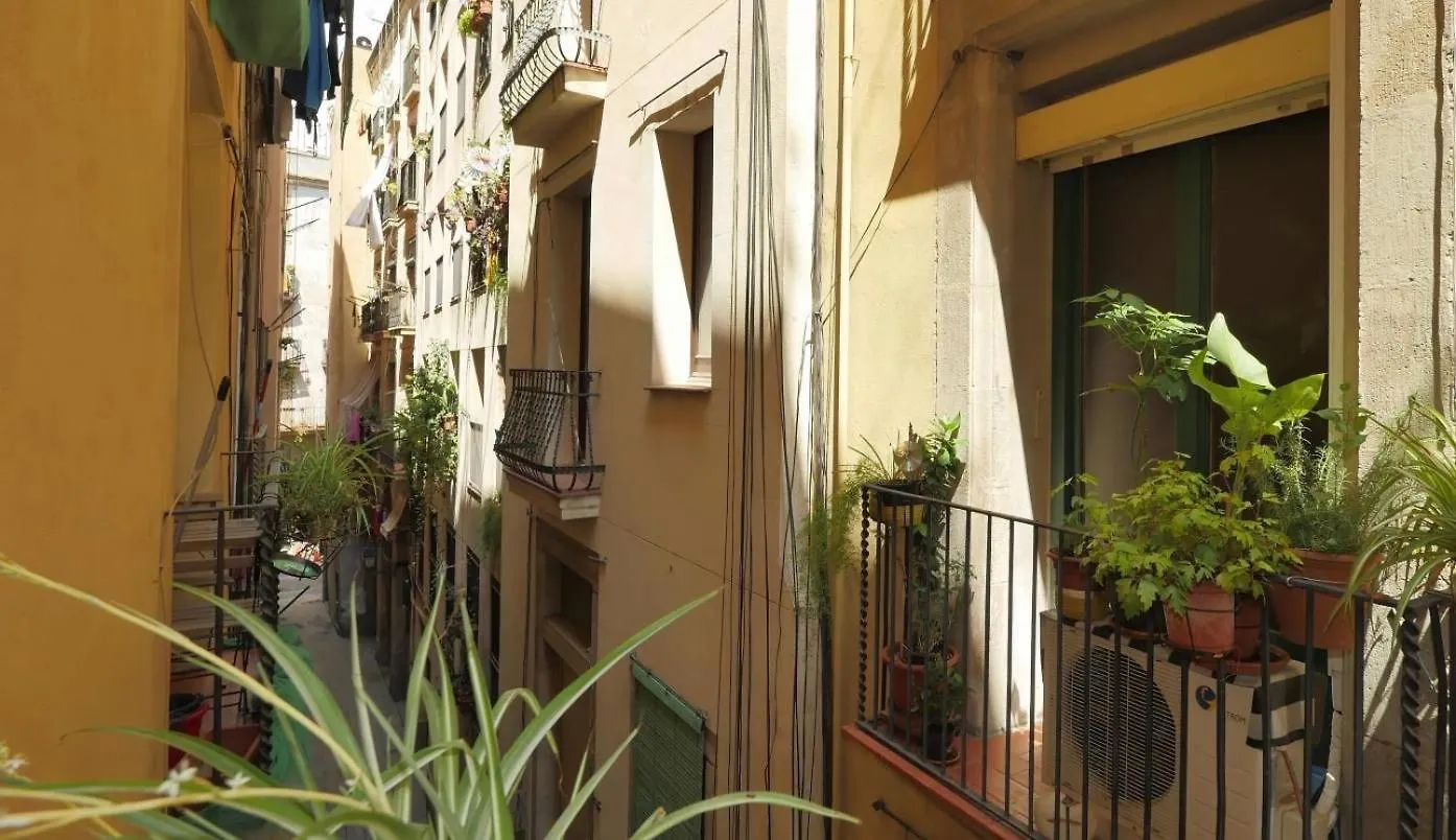 Appartamento Blanqueria 01 Barcellona